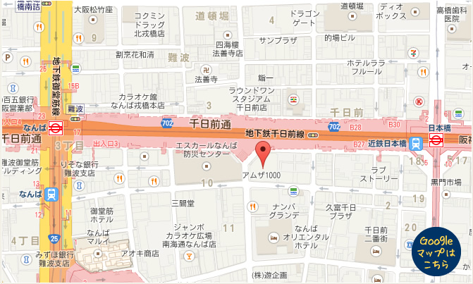 広域マップ(Google Map)