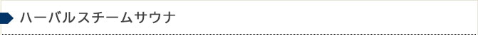 ハーバルスチームサウナ