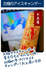おすすめお土産 北極のアイスキャンディー
