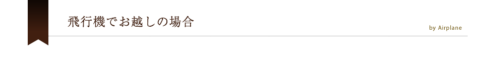 飛行機でお越しの場合