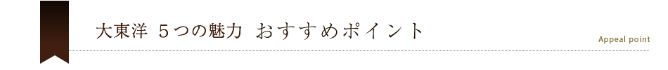 大東洋5つの魅力！おすすめポイント