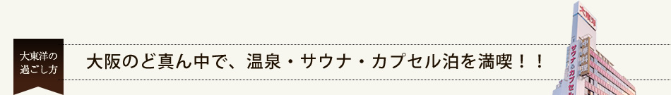 大東洋の過ごし方　ご利用案内