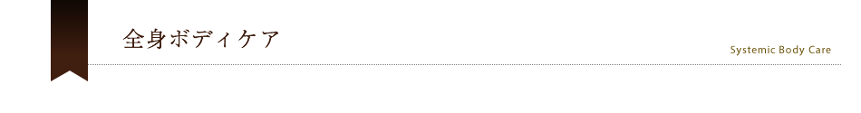 全身ボディケア