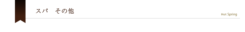 スパ　その他