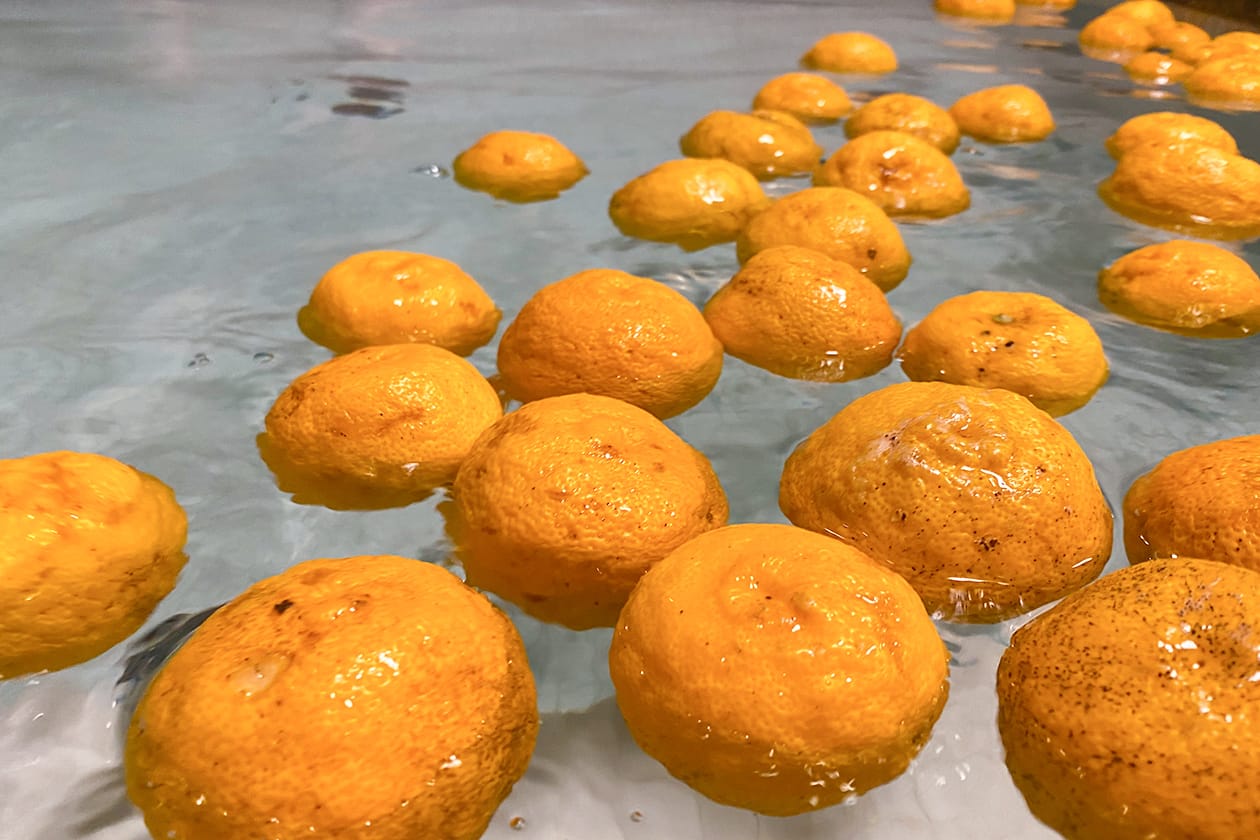 季節風呂(冬至 柚子湯)