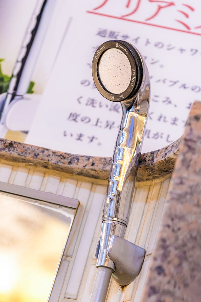 アリアミストボリーナ